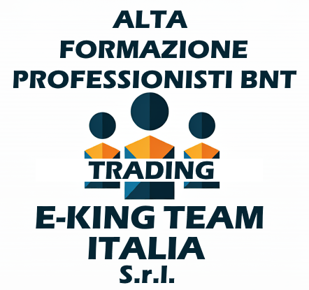 E-King Team Italia Srl